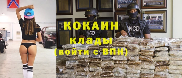 кокс Касимов