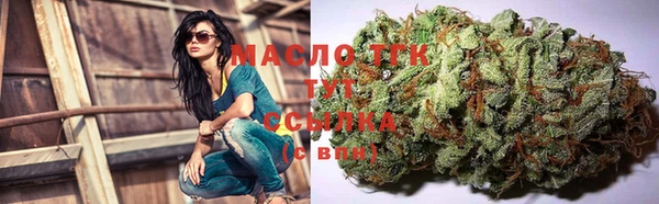 кокс Касимов