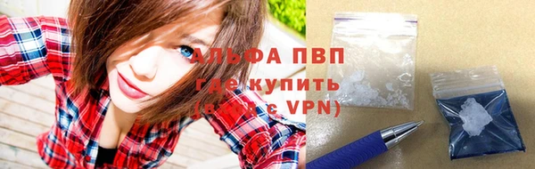 кокс Касимов